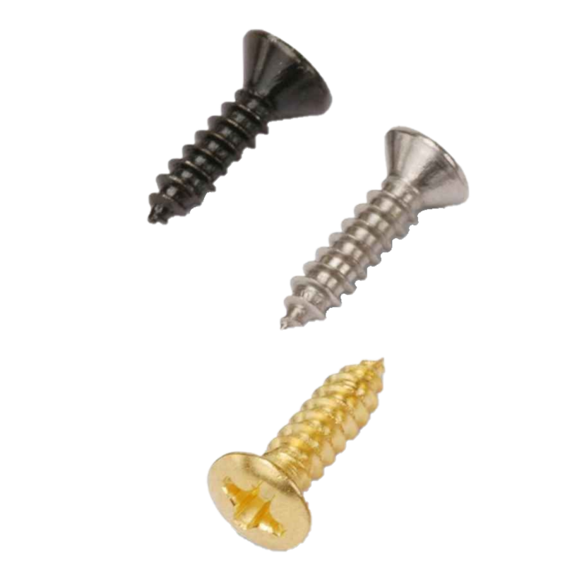 Vis fixation pickguard | LVSublim