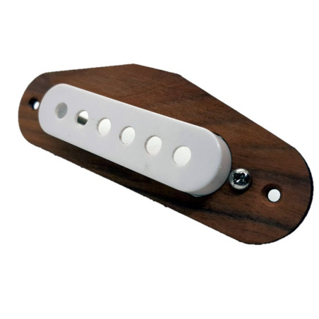 Contour micro Stratocaster palissandre