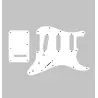 Pickguard + Plaque arrière pour Stratocaster – multiple configurations