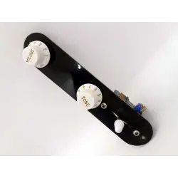 Plaque contrôle Telecaster plexiglass | LVSublim