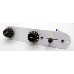 Plaque contrôle Telecaster plexiglass | LVSublim
