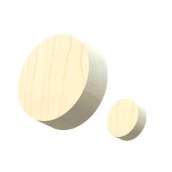 Inlays dots guitare bois érable
