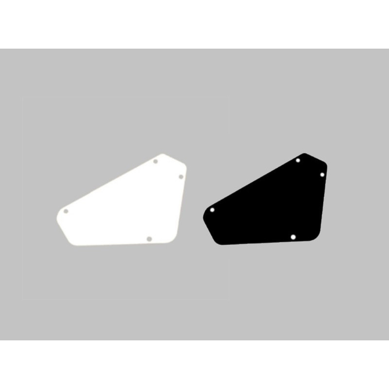 Plaque Arrière Guitare NX6 | LVSublim