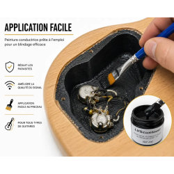 Kit blindage guitare