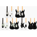 Pickguard guitare Sun Valley