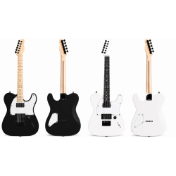 Pickguard Jim Root 3plis | Télécaster + plaque arrière