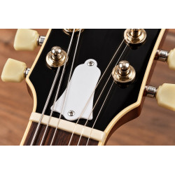 Cache truss rod type LP / SG – Plexiglas 2 mm – 4 coloris