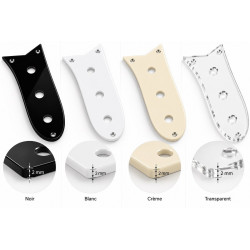 Plaque de contrôle type Fender Electric XII 12 cordes – Plexiglas 2 mm