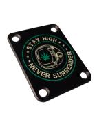 Plaque de manche guitare